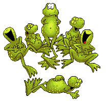 Grenouilles_5
